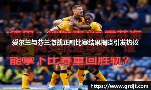 爱尔兰与芬兰激战正酣比赛结果揭晓引发热议